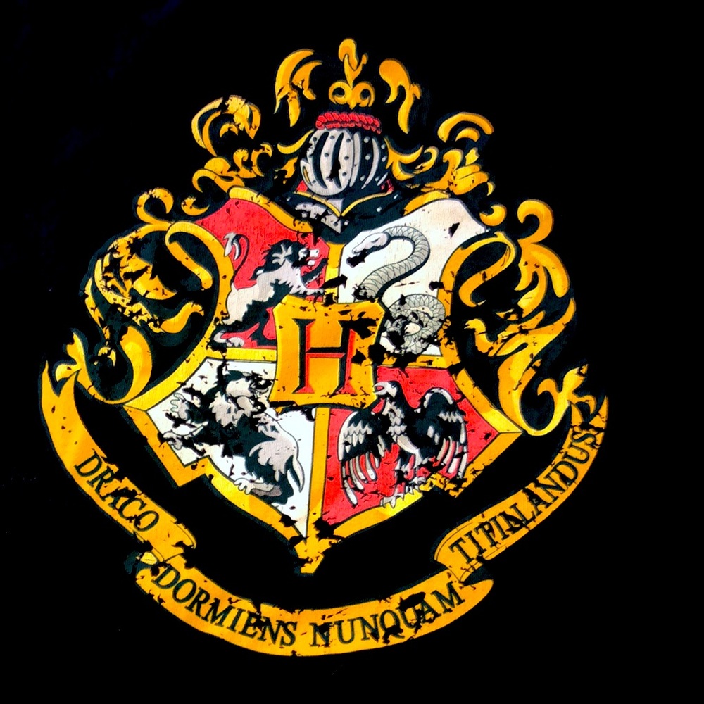 Vintage Harry Potter shirt Griffindor